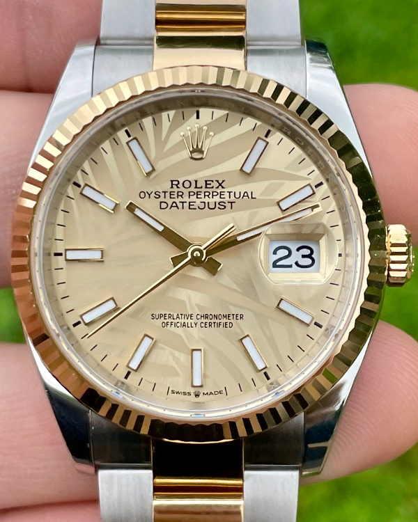 2022 Rolex Datejust 36MM Champagne "Palm Motif" Dial Two-Tone Oyster Bracelet (126233)