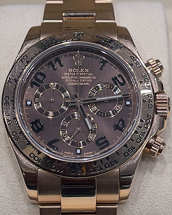 Rolex Cosmograph Daytona 40MM Everose Gold Chocolate Dial (116505)