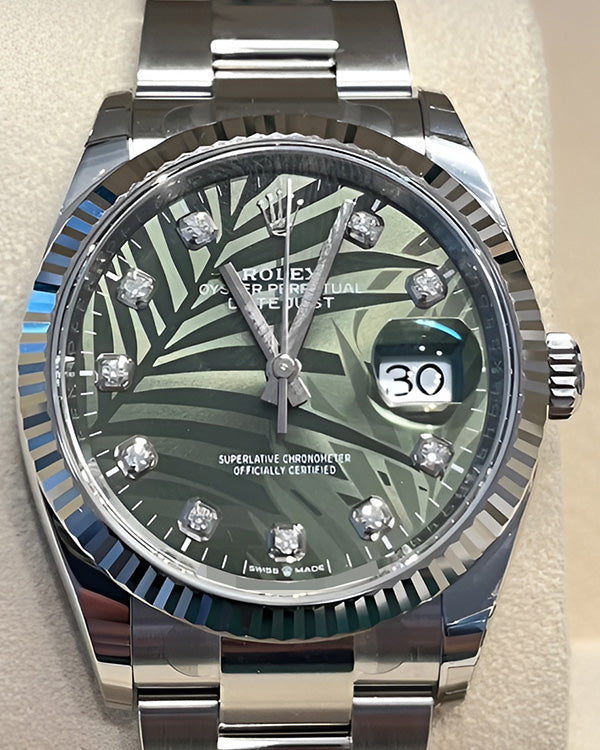 2024 Rolex Datejust 36MM Olive Green "Palm Motif" Dial Oyster Bracelet (126234)