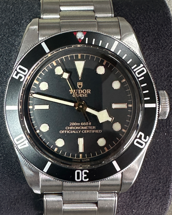 2019 Tudor Black Bay 41MM Black Dial Steel Bracelet (79230N)