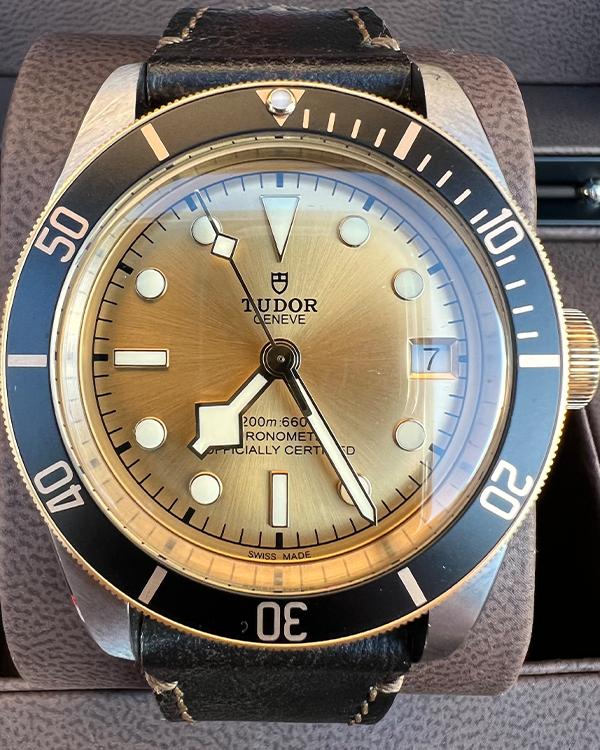 Tudor Black Bay S&G Steel Gold Dial (M79733N-0003)