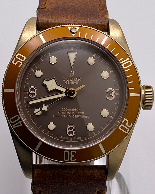 2018 Tudor Heritage Black Bay 43MM Brown Dial Leather Strap (79250BM)