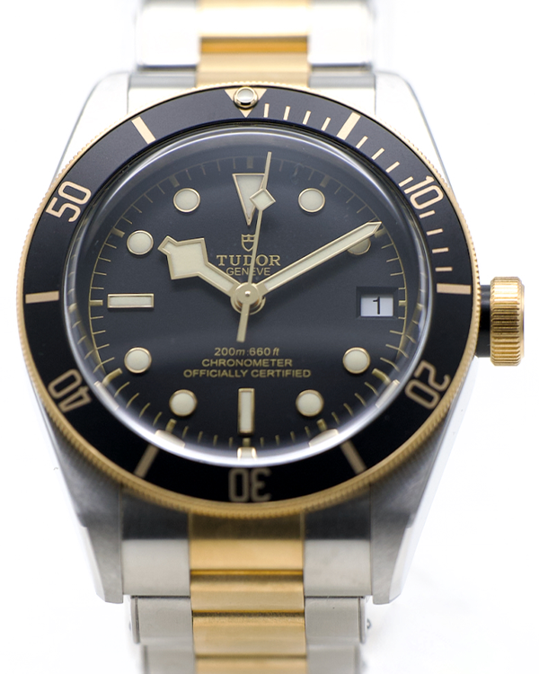 2019 Tudor Black Bay S&G Two-Tone Black Dial (M79733N-0008)