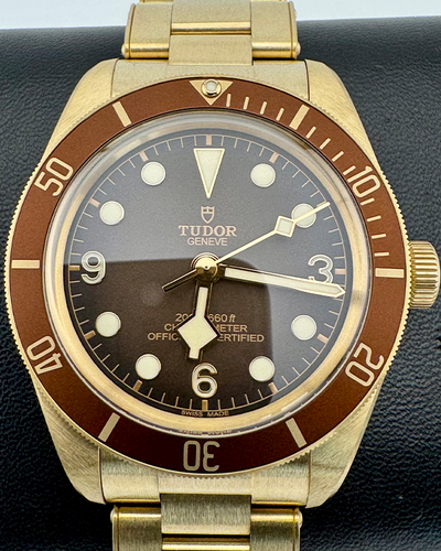 No Reserve - 2024 Tudor Black Bay 58 39MM Brown Dial Bronze Bracelet (79012)