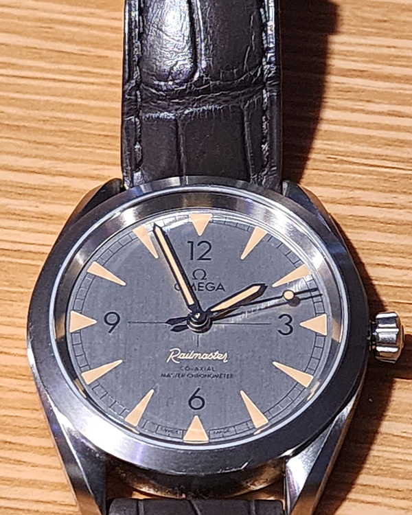 Omega Seamaster Railmaster Steel Grey Dial (220.12.40.20.06.001)