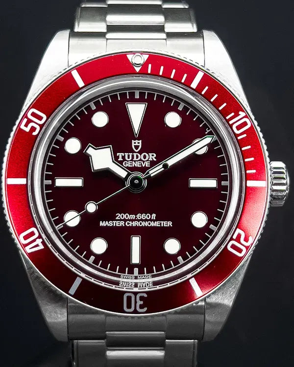 Tudor Black Bay (M7939A1A0RU-0002)