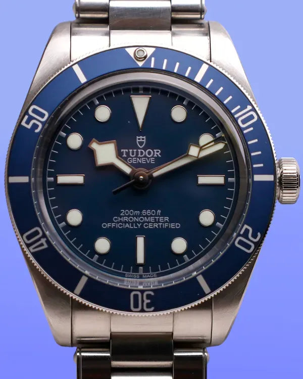Tudor Black Bay (79030B)