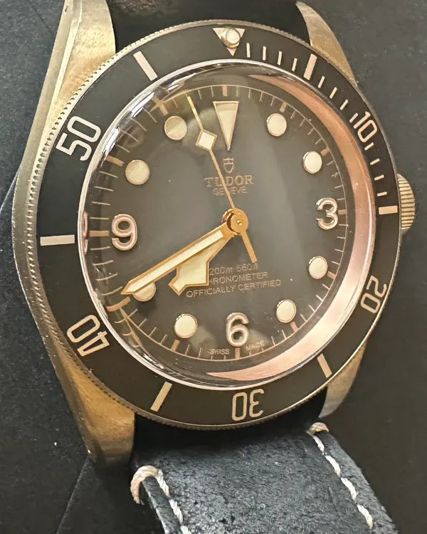 Tudor Black Bay (79250BA)