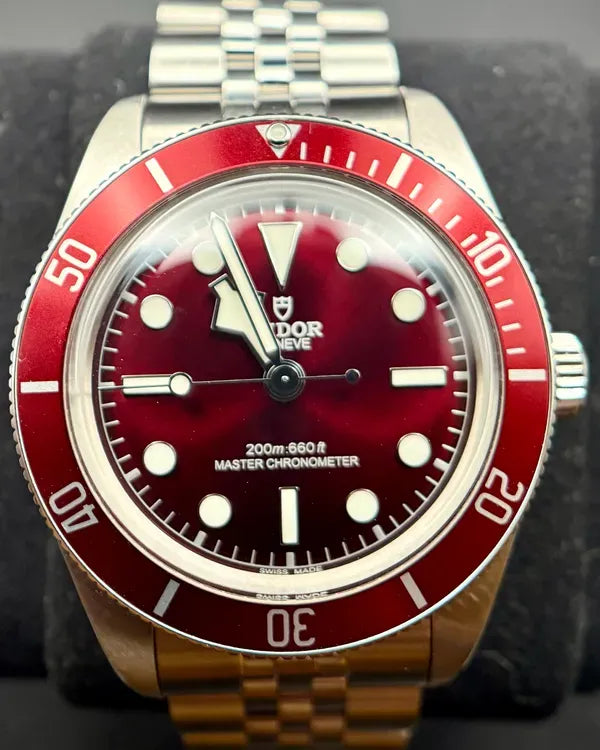 Tudor Black Bay (M7939A1A0RU-0001)
