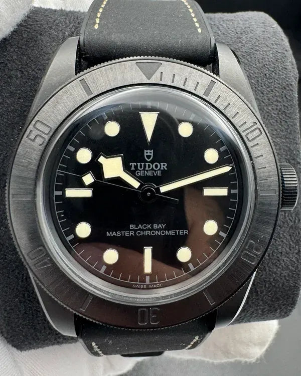 2021 Tudor Black Bay 41MM Black Dial Leather Strap (79210CNU)