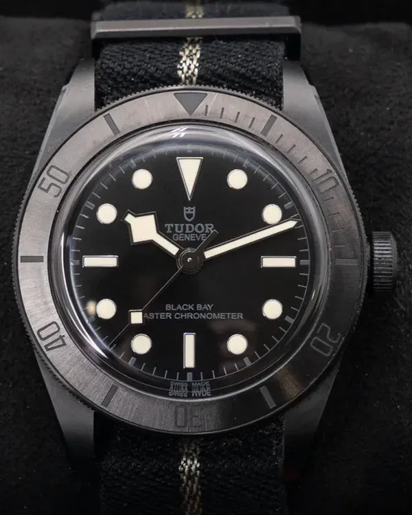 Tudor Black Bay (79210CNU-0001)