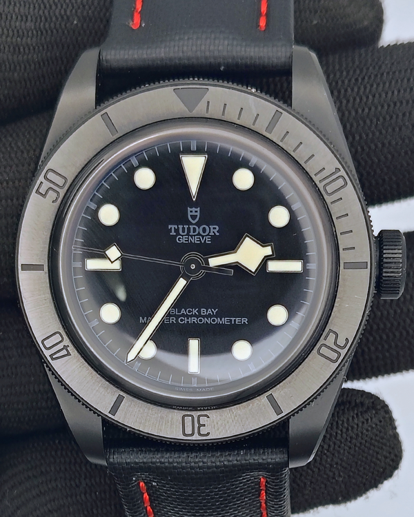 (Diego working) Tudor Black Bay (M79210CNU-0001)