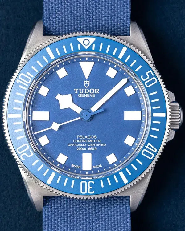 Tudor Pelagos (25707B/23)