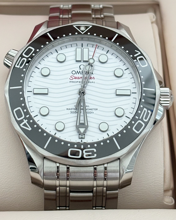 Omega Seamaster 300 (210.30.42.20.04.001)