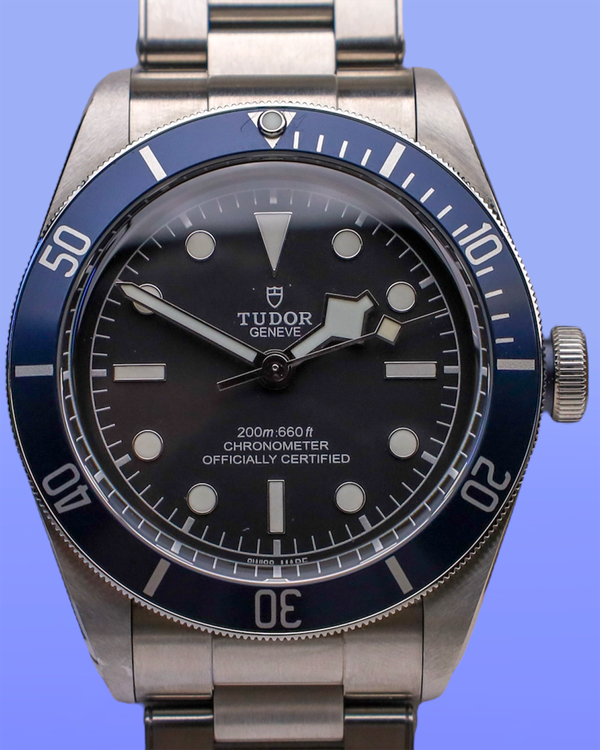 Tudor Black Bay (M79230B)