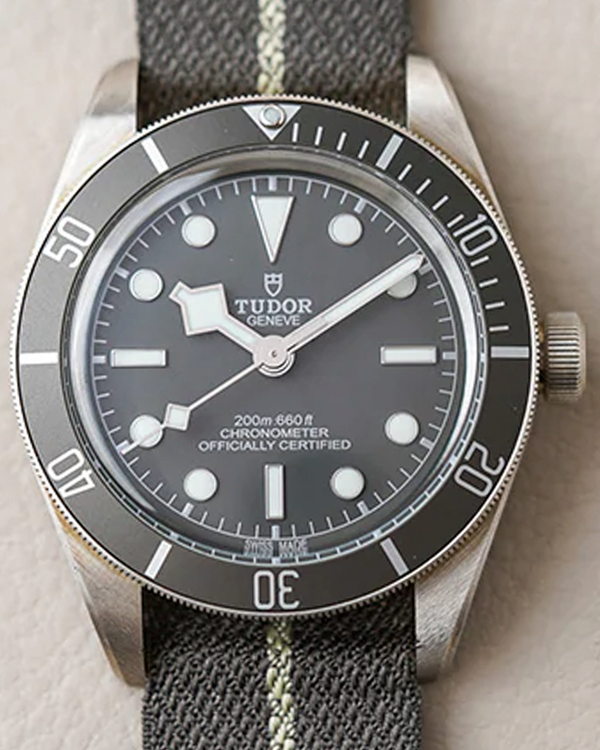 2025 Tudor Black Bay 58 925 39MM Grey DIal Textile Strap (79010SG)