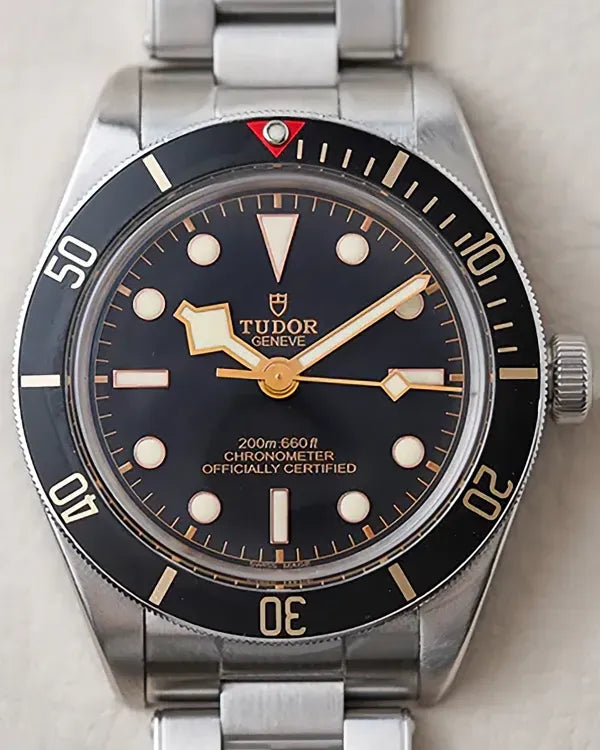 2019 Tudor Black Bay 39MM Black Dial Steel Bracelet (79030N)