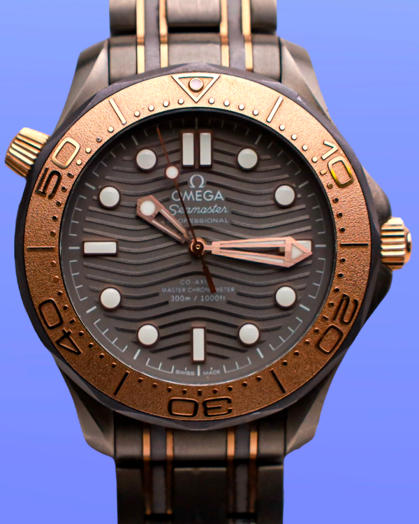 Omega Seamaster (21060422099001)