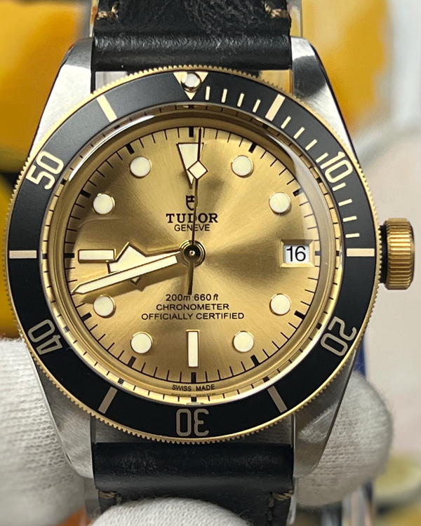 2025 Tudor Black Bay S&G 41MM Champagne Dial Leather Strap (79733N)