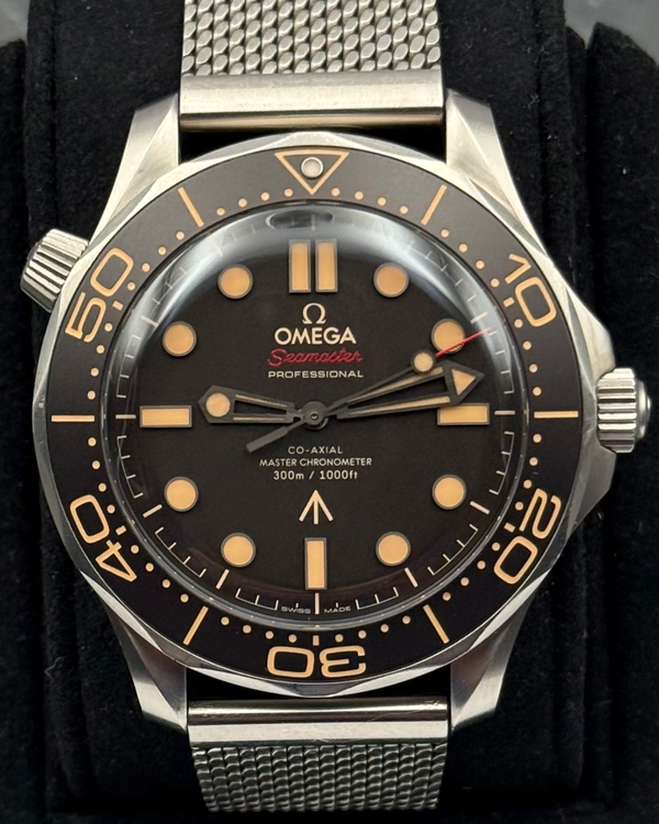 Omega Seamaster 300 (210.90.42.20.01.001)