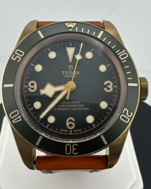 Tudor Black Bay (M79250BA-0002)