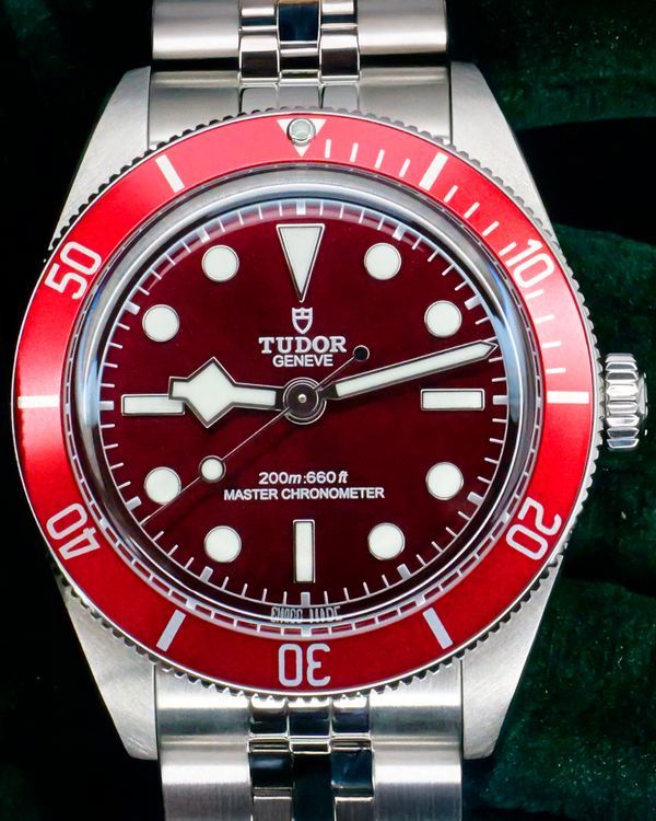 Tudor Black Bay (7939A1A0RU-0001)