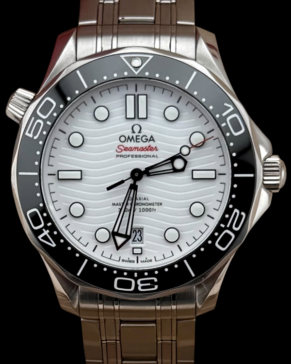 Omega Seamaster 300 (210.30.42.20.04.001)