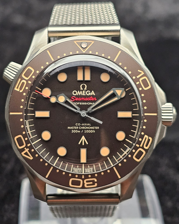 Omega Seamaster 300 (210.90.42.20.01.001)