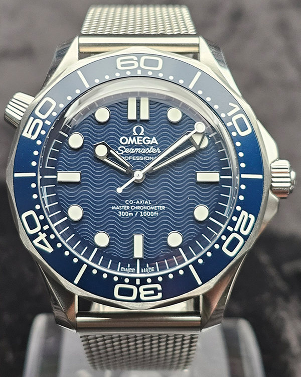 Omega Seamaster 300 (210.30.42.20.03.002)