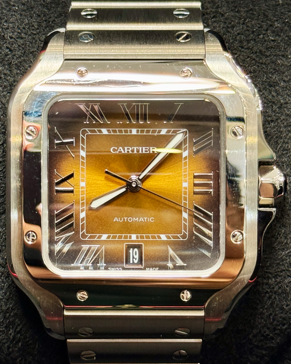 Cartier Santos De Cartier (WSSA0064)