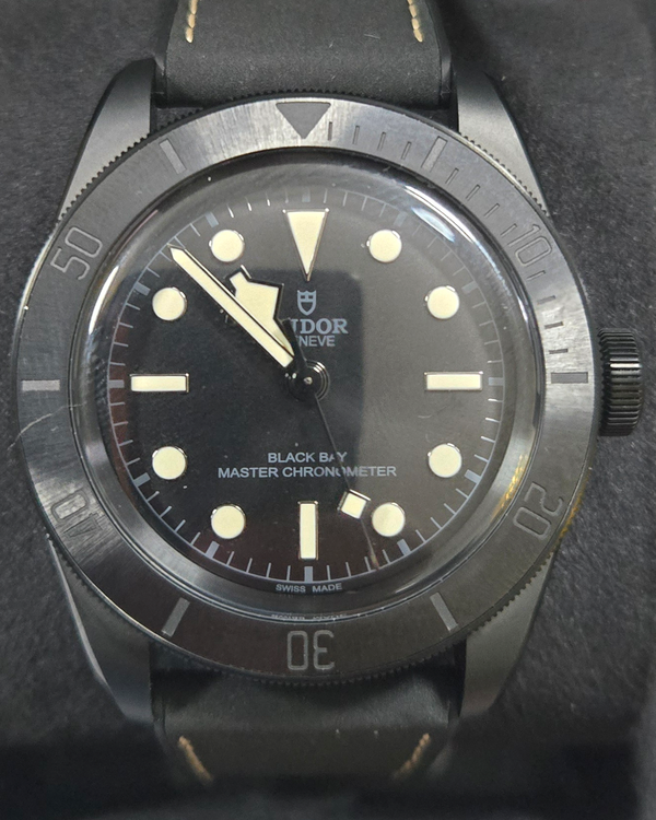 2022 Tudor Black Bay 41MM Black Dial Rubber Strap (79210CNU)