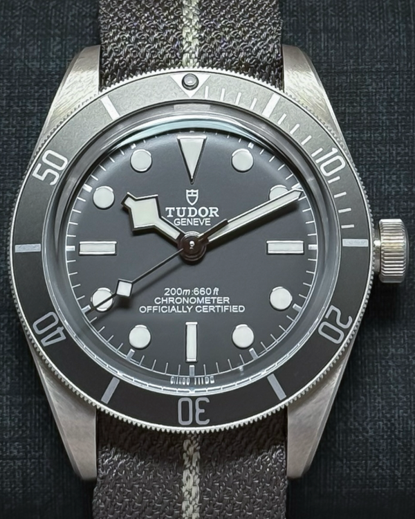 Tudor Black Bay (79010SG)