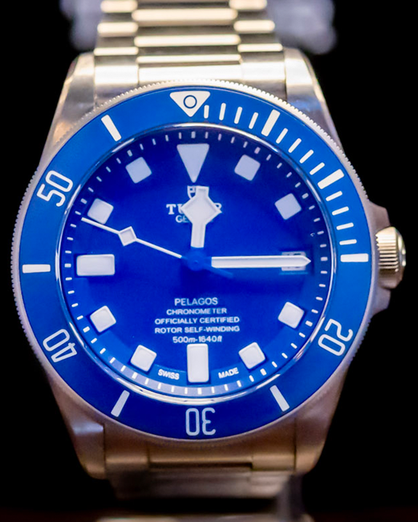 Tudor Pelagos (25600TB)