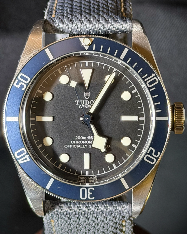 Tudor Black Bay (79230B)