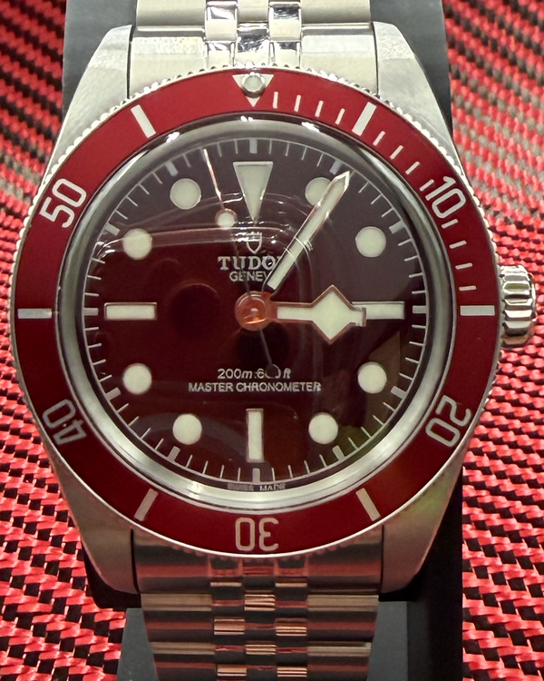 Tudor Black Bay (7939G1A0NRU)