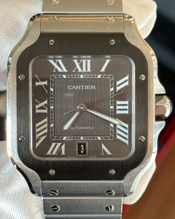 Cartier Santos De Cartier (WSSA0037)