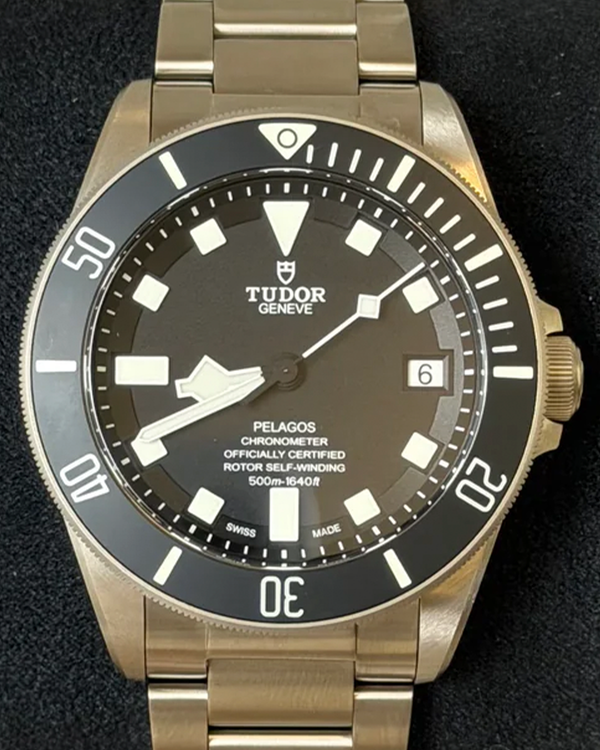 Tudor Pelagos (25600TN)