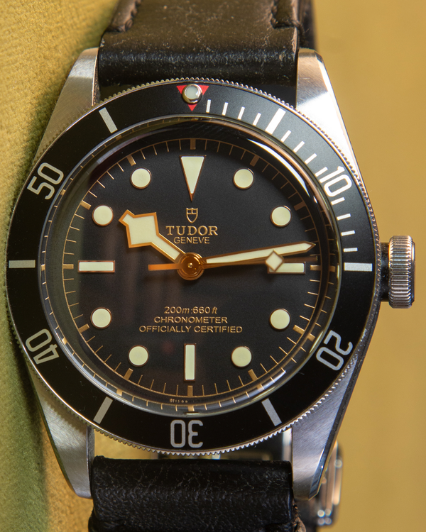 Tudor Black Bay (79230N)