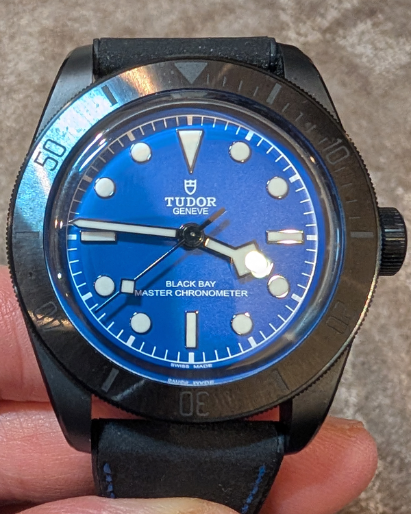 Tudor Black Bay (79210CNU)