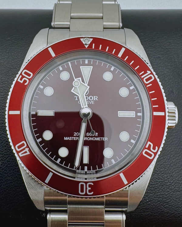 Tudor Black Bay (7939A1A0RU)