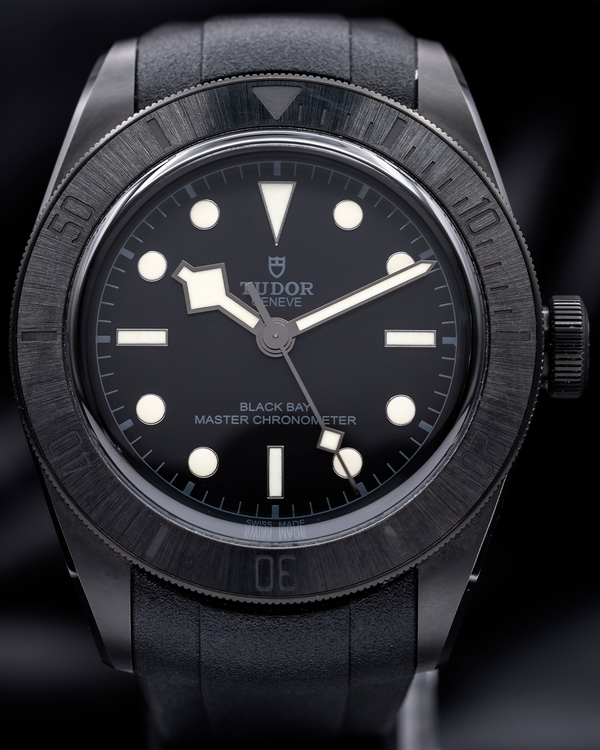 2021 Tudor Black Bay 41MM Black Dial Rubber Strap (79210CNU)