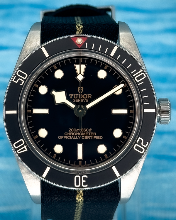 Tudor Black Bay (79030N)