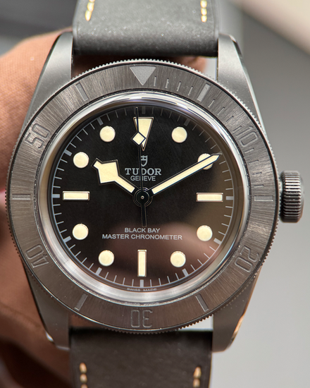 2022 Tudor Black Bay 41MM Black Dial Rubber Strap (79210CNU)