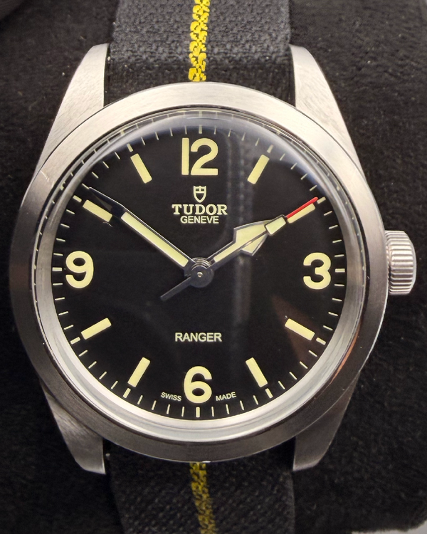 Tudor Ranger (79950)