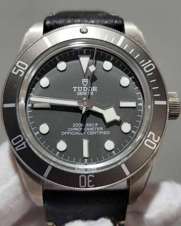 Tudor Black Bay (M79010SG-0001)