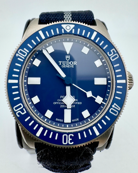 No Reserve - 2025 Tudor Pelagos FXD 42MM Blue Dial Textile Strap (25707B)