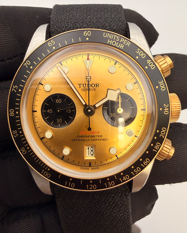 Tudor Black Bay (79363N)