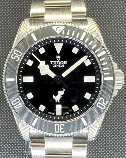 2024 Tudor Pelagos "Google Dino Edition" L.E. 39MM Black Dial Titanium Bracelet (25407N)