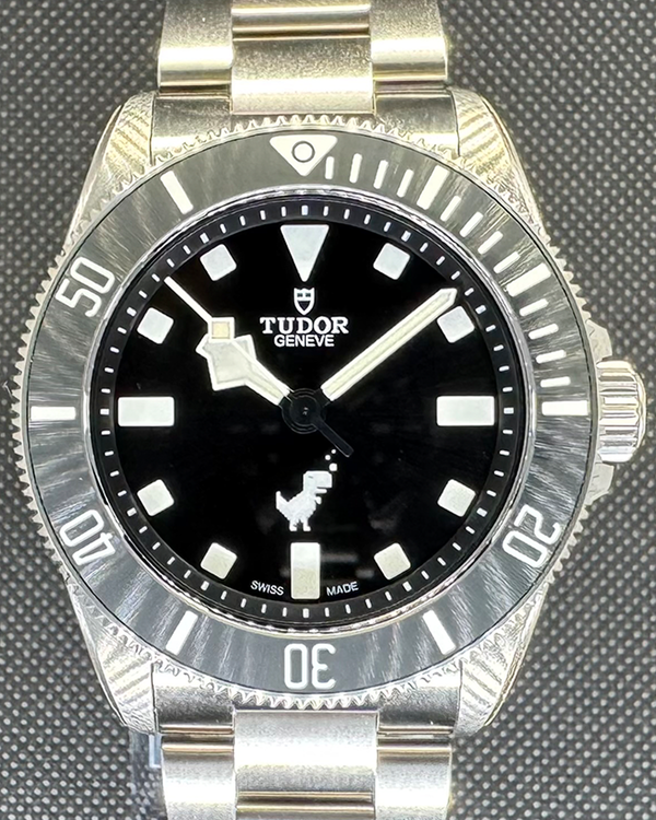 Rare 2024 Tudor Pelagos "Google Dino Edition" 39MM Black Dial Titanium Bracelet (25407N)