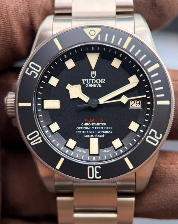 (Working) Tudor Black Bay (25610TNL)